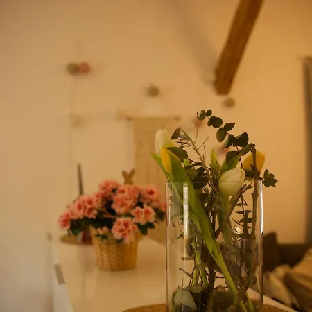 Charmantes Luxus Maisonette- Апартаменты *