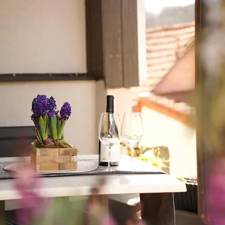 Апартаменты Charmantes Luxus Maisonette- Бад-Херсфельд